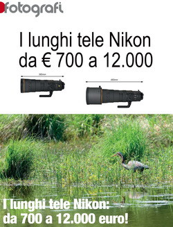 Test: i lunghi tele Nikon: da 700 a 12.000 euro!